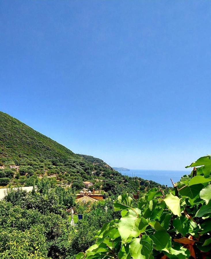 La Casa Sul Blu Albergo Diffuso Pisciotta Eksteriør billede