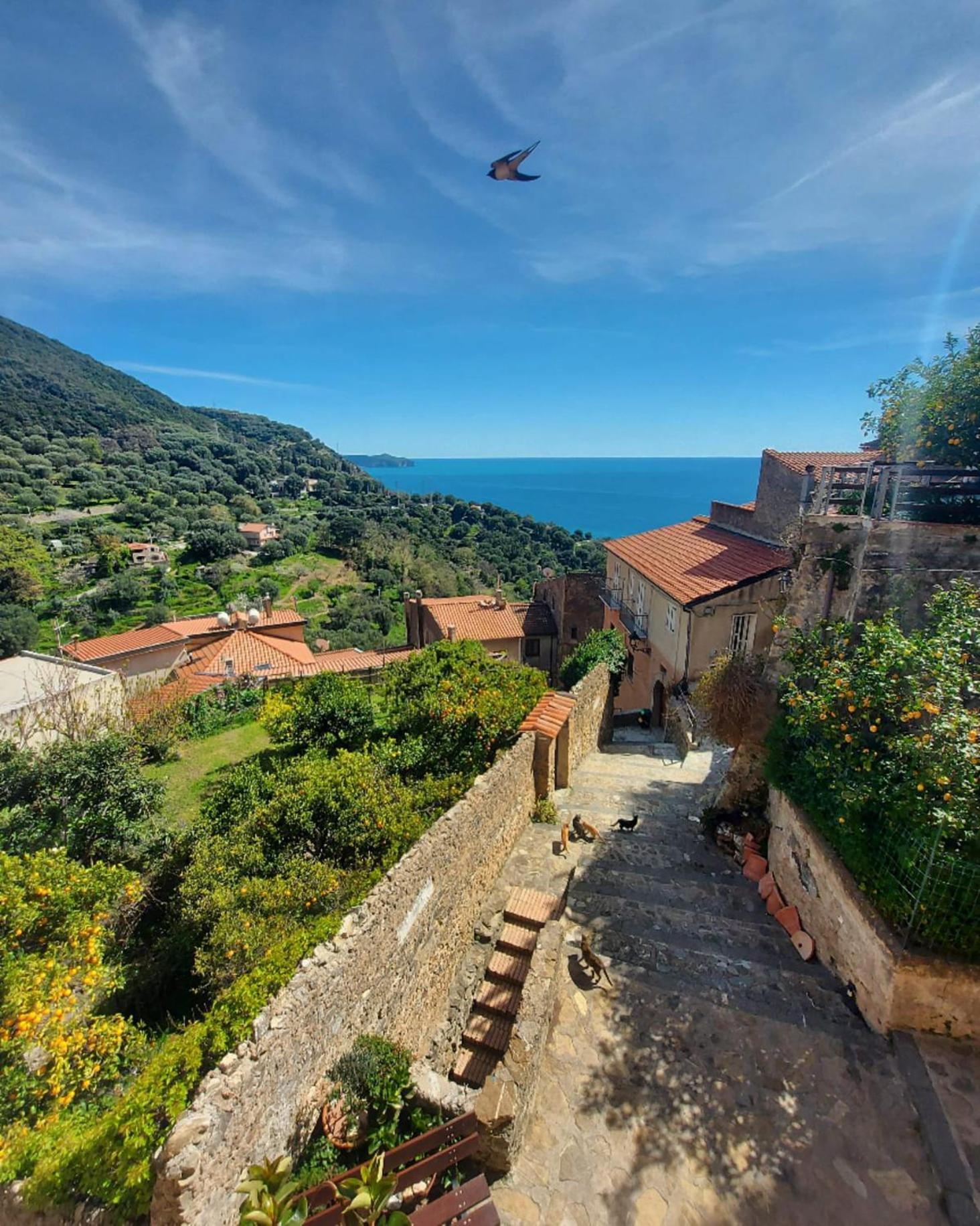 La Casa Sul Blu Albergo Diffuso Pisciotta Eksteriør billede
