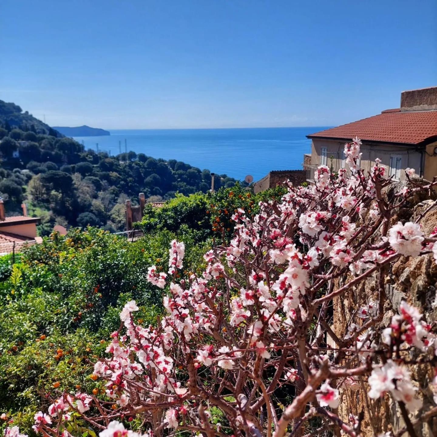 La Casa Sul Blu Albergo Diffuso Pisciotta Eksteriør billede