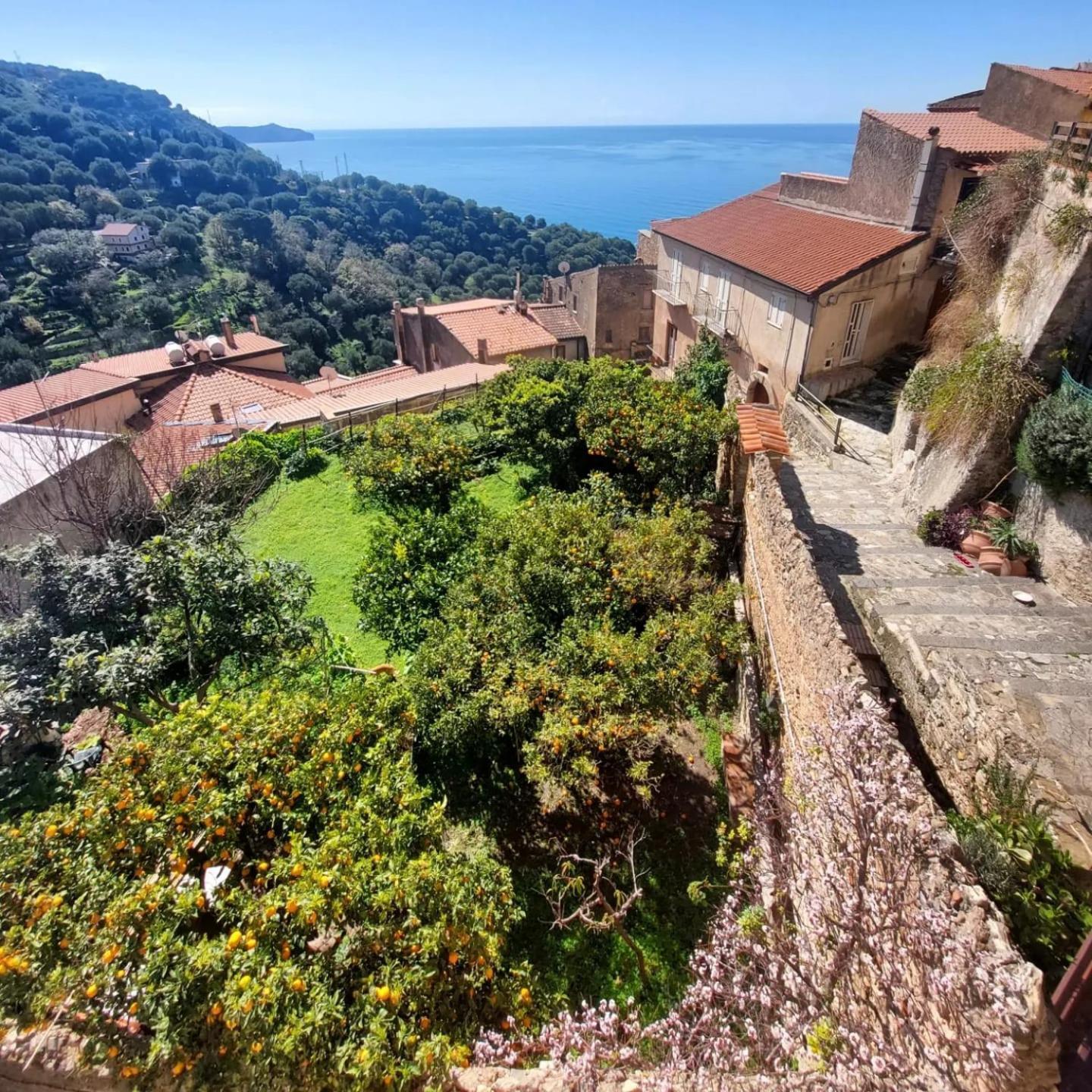 La Casa Sul Blu Albergo Diffuso Pisciotta Eksteriør billede