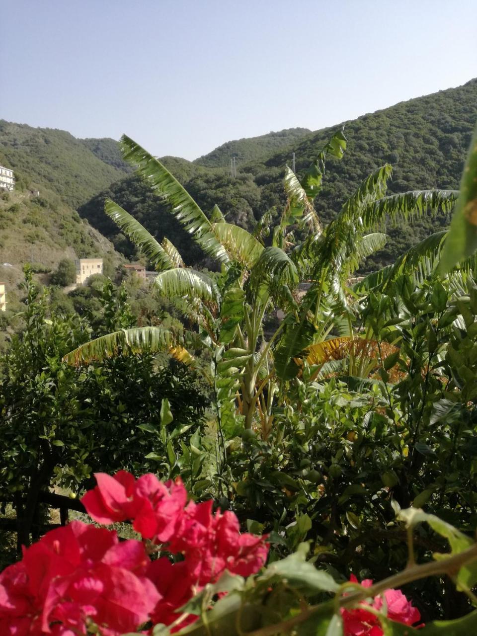 La Casa Sul Blu Albergo Diffuso Pisciotta Eksteriør billede