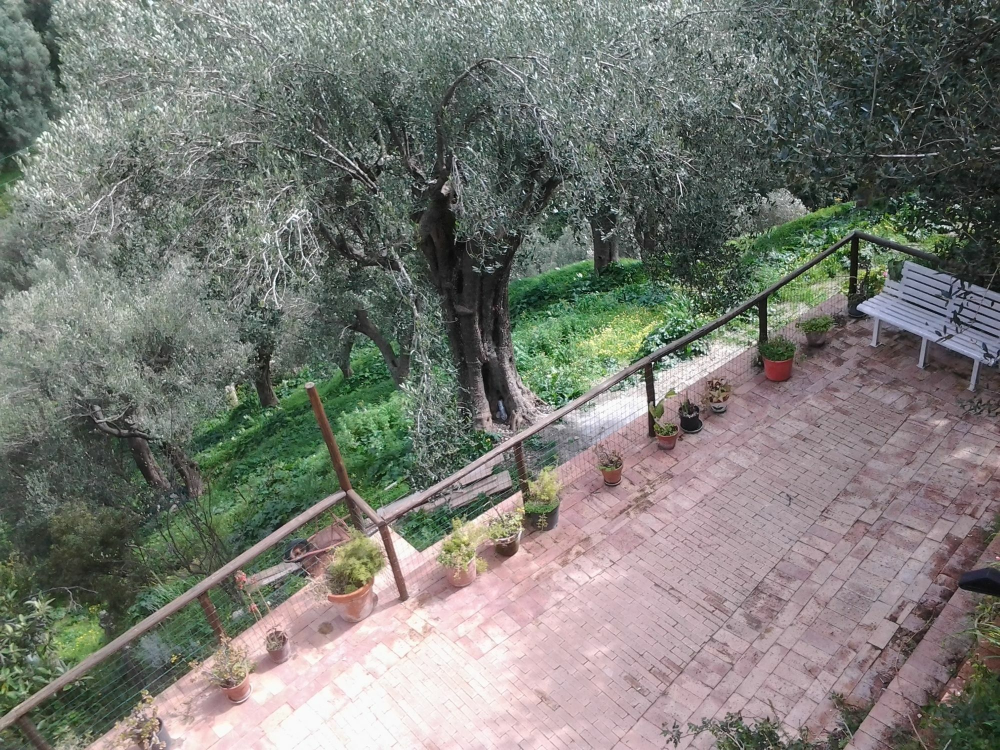 La Casa Sul Blu Albergo Diffuso Pisciotta Eksteriør billede